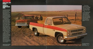 1985 Chevrolet Full-Size Pickups-02-03.jpg